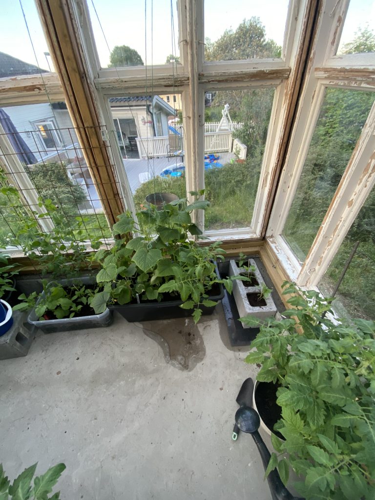 Greenhouse IoT project for my tomatoes!